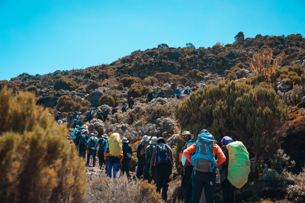 Kilimanjaro trekking