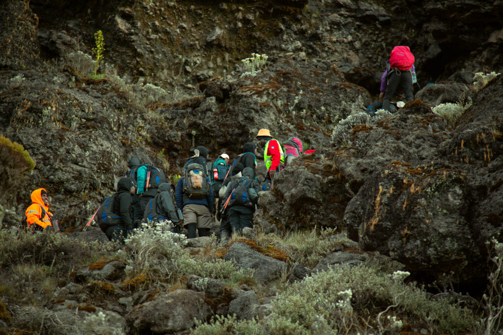 Kilimanjaro trekking
