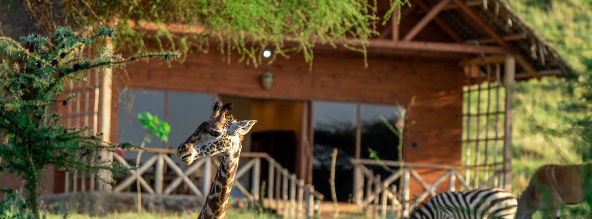 Serval Wildlife Sanctuary excursion near Weruweru River Lodge, Moshi Tanzania